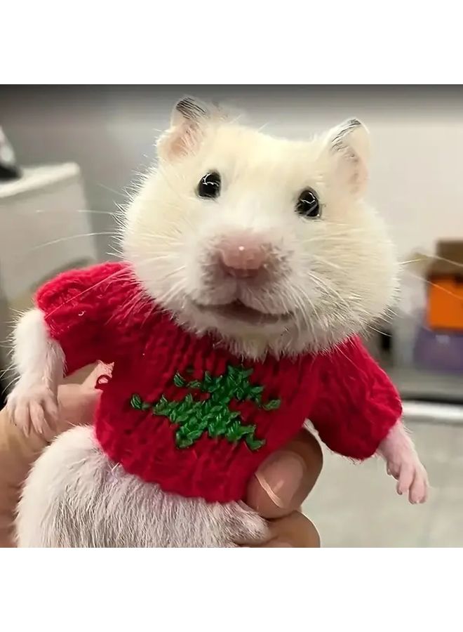 سترة شتوية متماسكة صغيرة للهامستر بأسلوب الحب لملابس الحيوانات الأليفة الدافئة لصور عيد الميلاد - Image 4