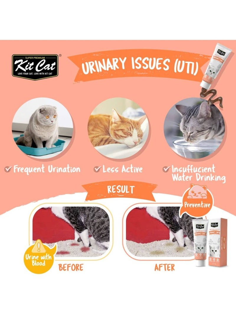 كيت كات مكمل غذائي يومي للقطط والقطط الصغيرة - Image 2