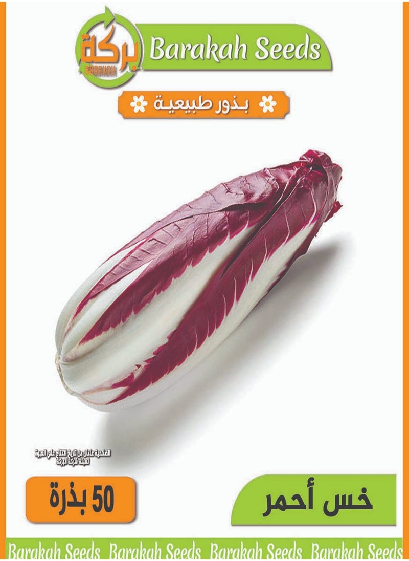 Generic High germination rate seeds - red lettuce 