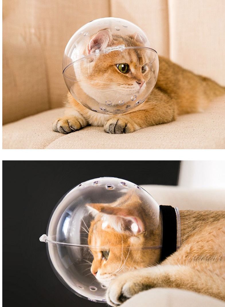 Altheqa Breathable Cat Space Hood Helmet Prevent Biting Pet Grooming Cover Muzzle for Cats Bath small - Image 5