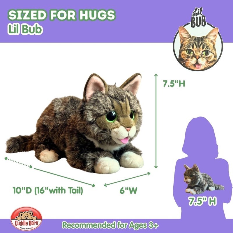 Cuddle Barn  Lil BUB  Soft Adorable Kitten Stuffed Animal Plush Toy 10 inches - Image 3