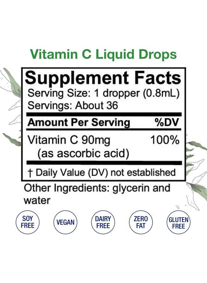HoneyCombs Vitamin C – Ascorbic Acid – Alcohol-Free Liquid Extract - Image 3