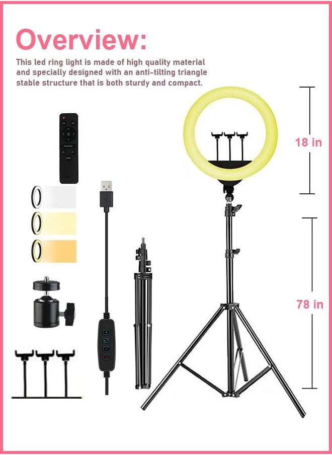 R.VIHAN Circle LED Studio Light Selfie Ring Light With Tripod Stand with Cell Phone Holder For Makeup Camera Photography Video Shoot YouTube Video Shoot TikTok Vlog Live Stream Compatible  - Image 3