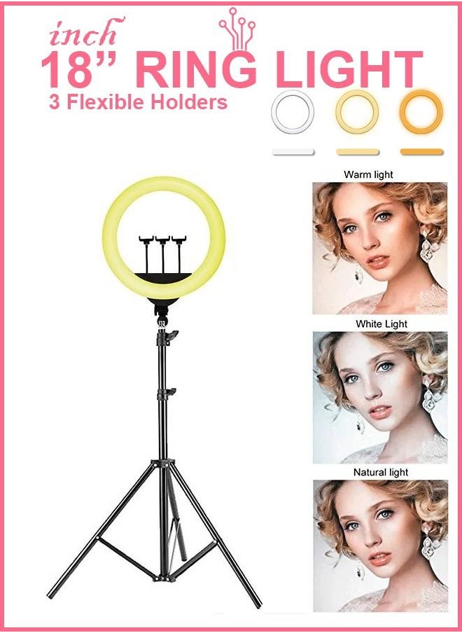 R.VIHAN Circle LED Studio Light Selfie Ring Light With Tripod Stand with Cell Phone Holder For Makeup Camera Photography Video Shoot YouTube Video Shoot TikTok Vlog Live Stream Compatible  - Image 1