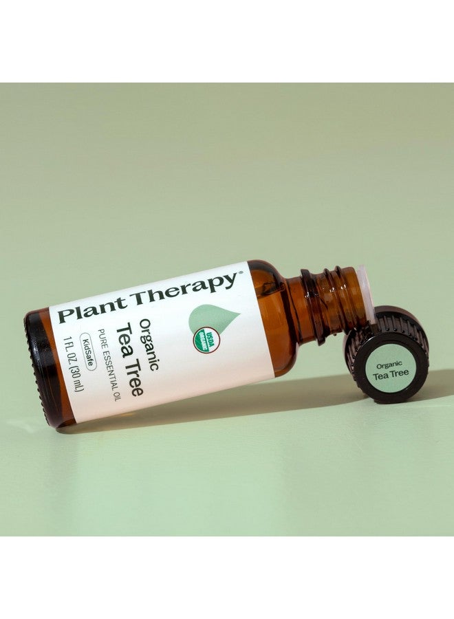Plant Therapy Organic Tea Tree Oil (Melaleuca) 100% Pure, USDA Certified Organic, Undiluted, Natural Aromatherapy, Therapeutic Grade 30 mL (1 oz) - Image 5