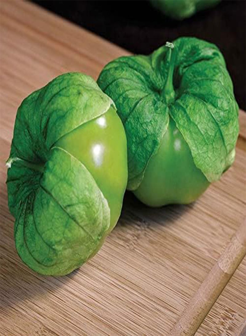 GGOOT Super Verde Hybrid Tomatillo Seeds, Green Oblong Tomato, Pack of 30 Seeds - Image 1