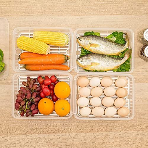 Raawan Fridge Storage Boxes (Pack of 1),Fridge Organizer with Removable Drain Plate & Lid, Stackable Portable Freezer Storage Containers Tray To Keep Fresh for Fish, Meat, Vegetables, (2500ML, 6) - Image 3