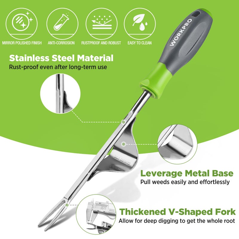 WORKPRO Weed Puller Tool, Metal Leverage Base and V-Shaped Forks for Easy Weed Removal & Deeper Root Digging, Heavy Duty Stainless Steel with Soft Handle, Manual Hand Weeder for Gardening - Image 3