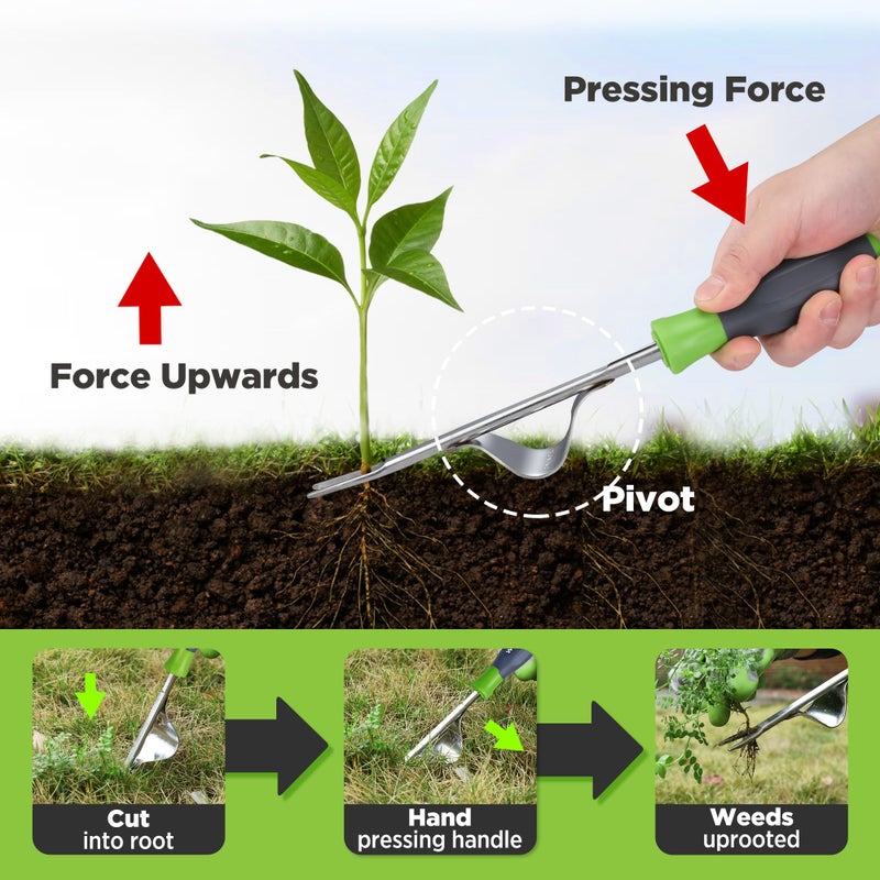 WORKPRO Weed Puller Tool, Metal Leverage Base and V-Shaped Forks for Easy Weed Removal & Deeper Root Digging, Heavy Duty Stainless Steel with Soft Handle, Manual Hand Weeder for Gardening - Image 4