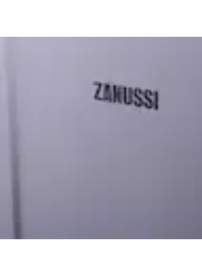 زانوسي سخان مياه غاز، 10 لترات، فضي - ZYG10113SL - Image 3
