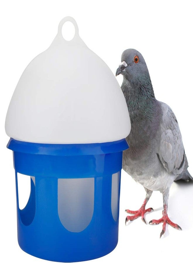 Gavigain Pigeons Feeder, Bird Water Drinker Pigeons Water Dispenser Drinker Quail Water Automatic Feeders Water Dispenser Dove Drinker Chicken (2L) - Image 1