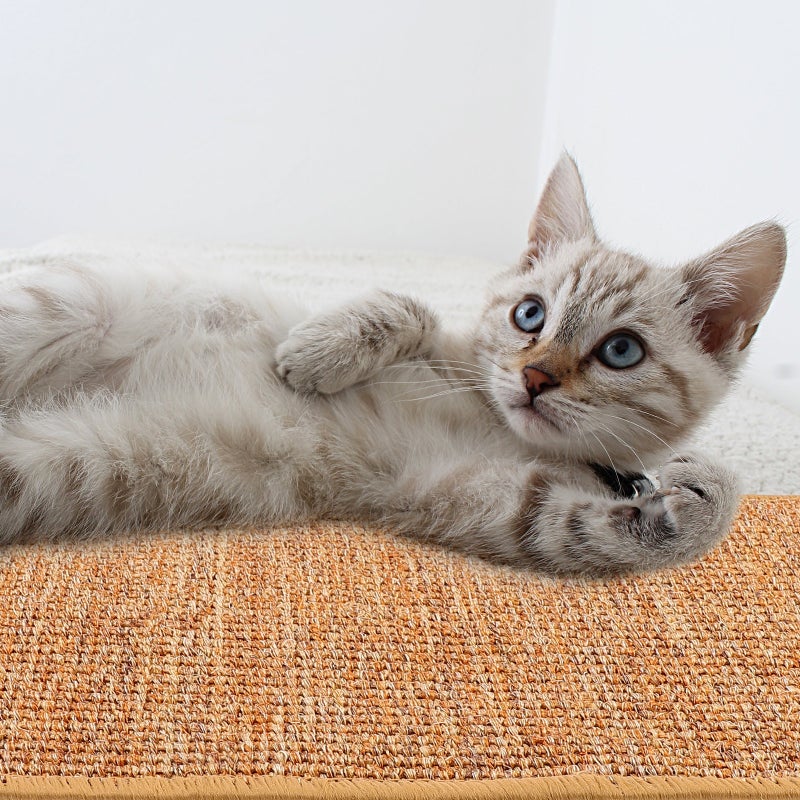 Cat Scratching Mat Sisal Sofa Floor Blanket Cat Scratching Pad Pet Rug - Image 4