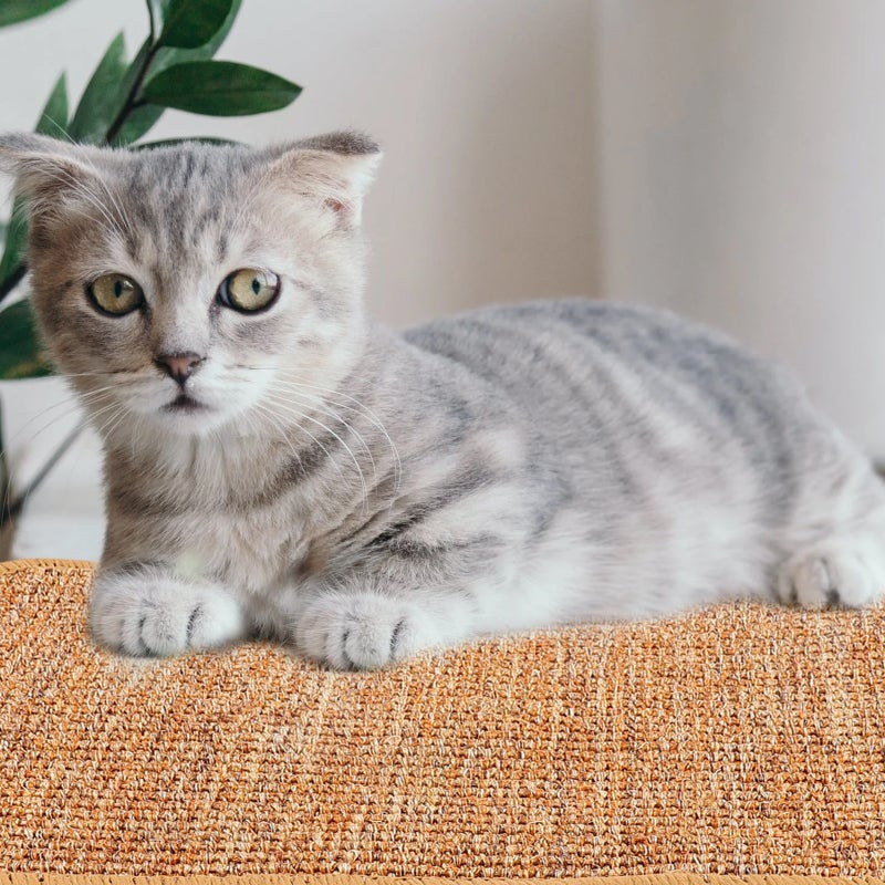 Cat Scratching Mat Sisal Sofa Floor Blanket Cat Scratching Pad Pet Rug - Image 1