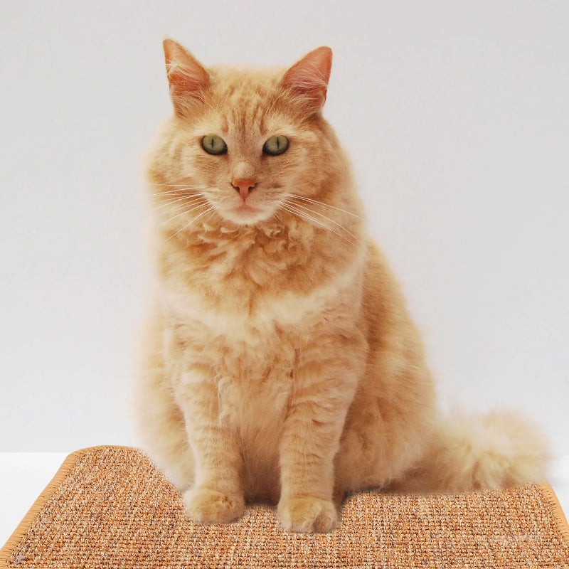 Cat Scratching Mat Sisal Sofa Floor Blanket Cat Scratching Pad Pet Rug - Image 3