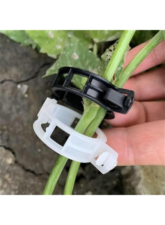 Generic Plant Support Clips for Climbing Plants, Plastic Trellis Secured Garden Clip, Clear 100 Pack Black Plant Clips.  - Image 4