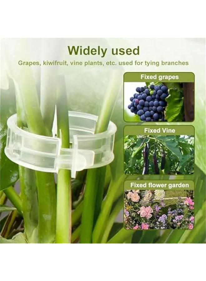 Generic Plant Support Clips for Climbing Plants, Plastic Trellis Secured Garden Clip, Clear 100 Pack Black Plant Clips.  - Image 5