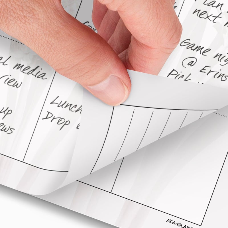 AT-A-GLANCE 2026 Planner Refill, Monthly, 5-1/2" x 8-1/2", Desk Size 4, Loose-Leaf, Unruled Blocks, Nature (061-685-26) - Image 3