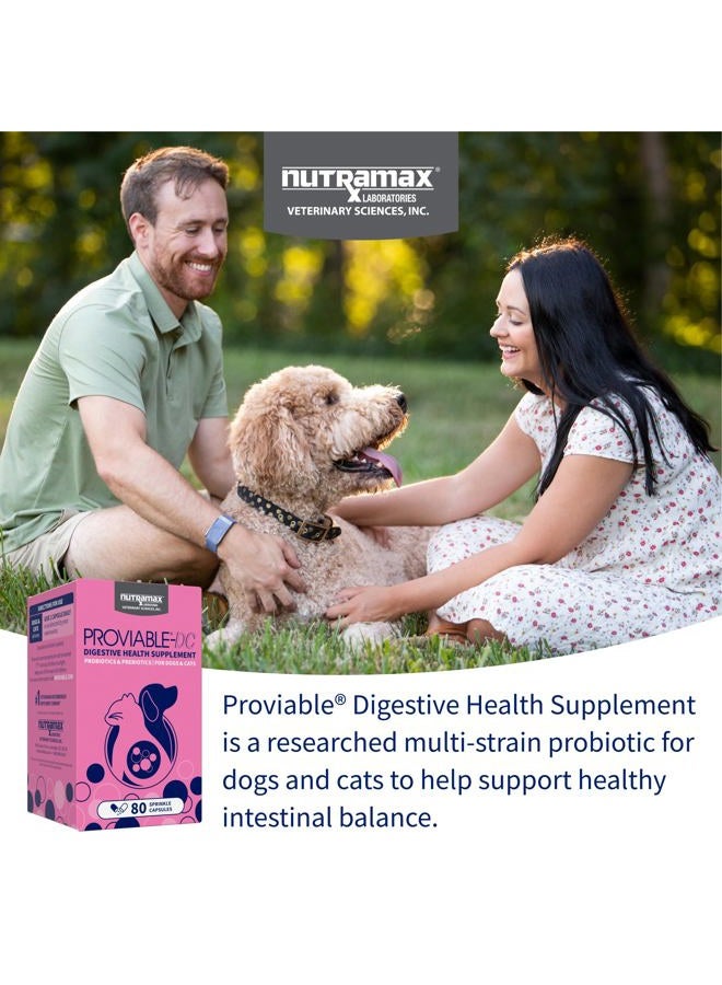 Nutramax Laboratories نيوترا ماكس بروفايبل بروبيوتكس للكلاب والقطط، مكمل صحي هضمي يومي مع سلالات متعددة من البكتيريا، بروبيوتكس للقطط والكلاب بالإضافة إلى البريبايوتكس، 80 كبسولة - Image 3