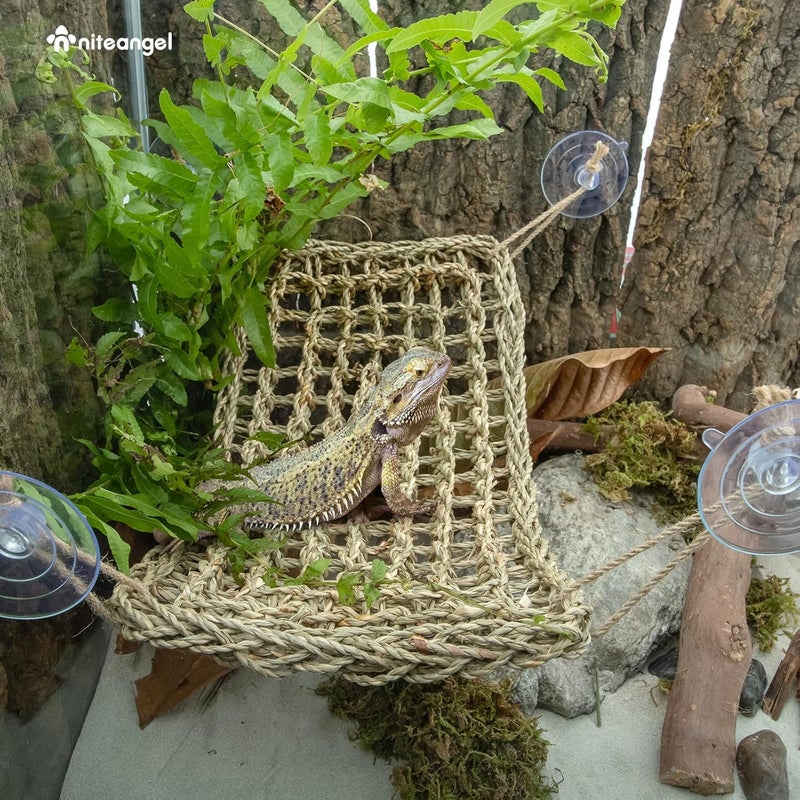 نيتينجيل كرسي هزاز للزواحف من نوع تنين ذو اللحية من نيتيانجل (مستطيل الشكل، أبعاد 16 بوصة × 8 أقدام) - Image 4