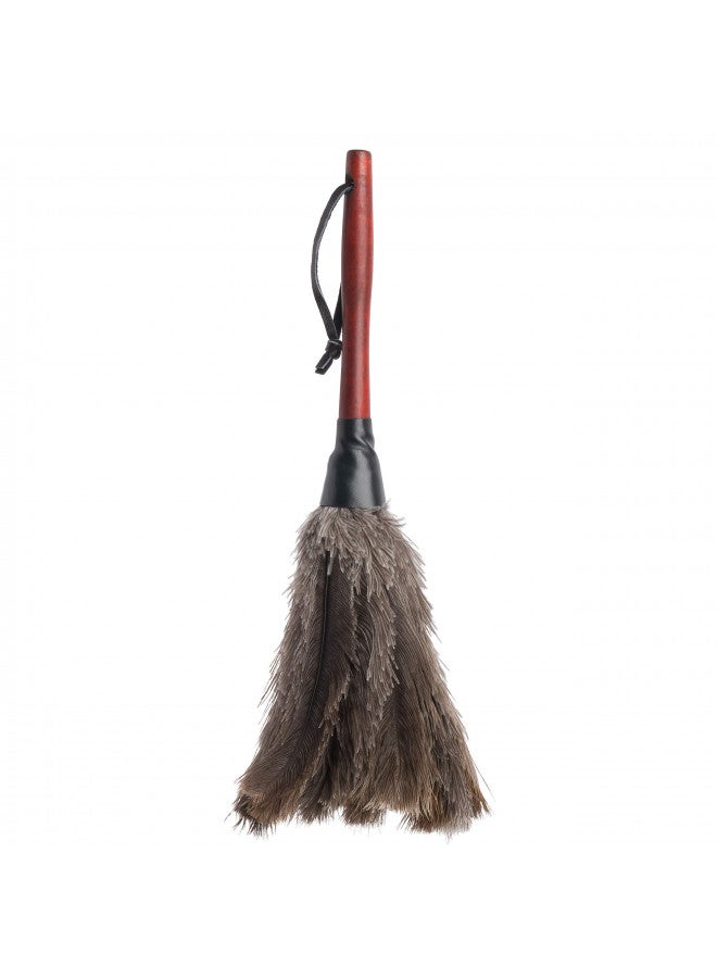 Redecker Ostrich Feather Duster with Varnished Wooden Handle, Small, 13-3/4-Inches - Image 2