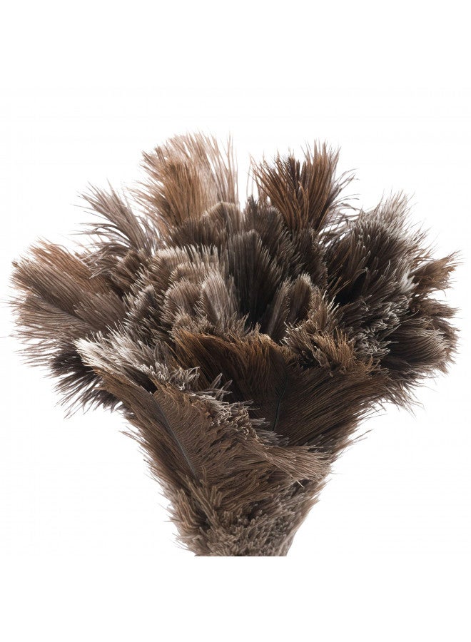 Redecker Ostrich Feather Duster with Varnished Wooden Handle, Small, 13-3/4-Inches - Image 3