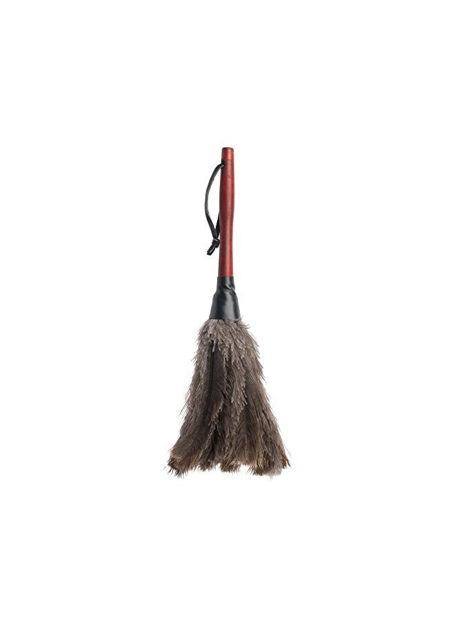 Redecker Ostrich Feather Duster with Varnished Wooden Handle, Small, 13-3/4-Inches - Image 1