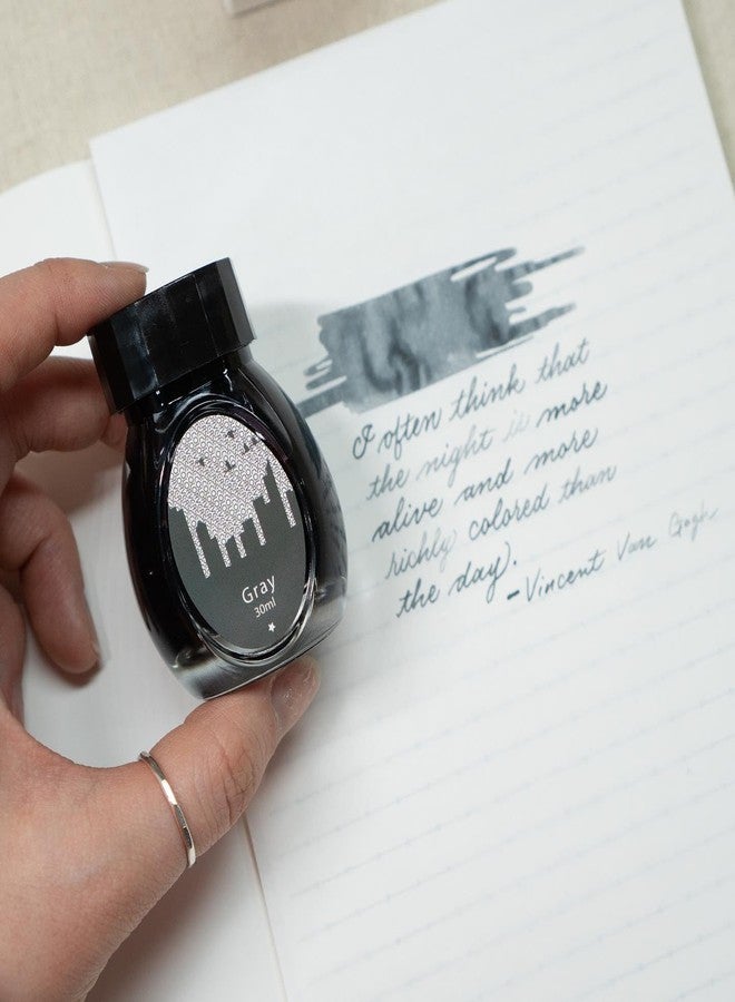 Colorverse Gray | Fountain Pen Ink Bottle |30ml | Dye Based | Office Series - Image 4