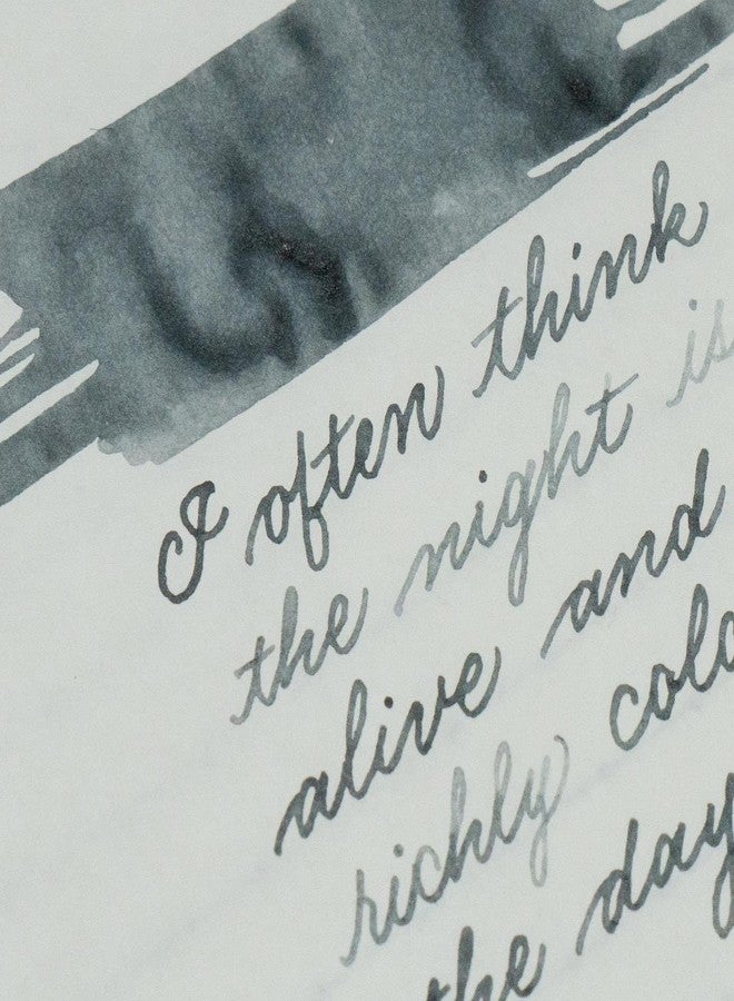 Colorverse Gray | Fountain Pen Ink Bottle |30ml | Dye Based | Office Series - Image 5