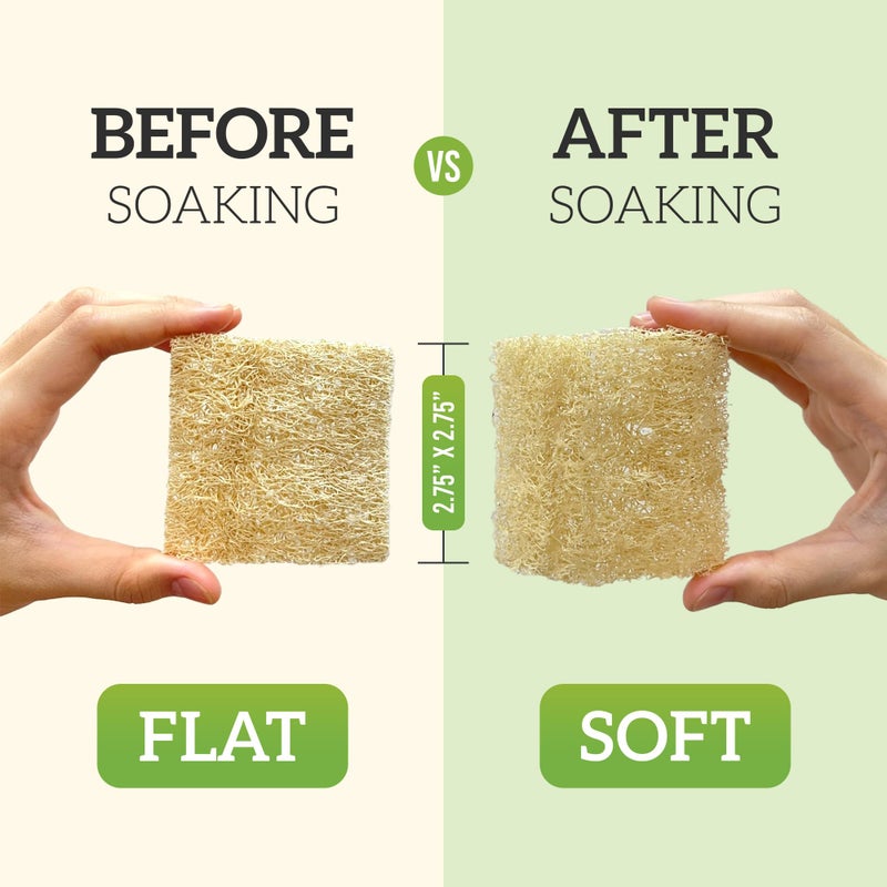 Miw Piw Natural Loofah Dish Sponge (Pack 30) Multipurpose Dish Sponges - 100% Biodegradable Compostable Dishwashing Scouring Pad Zero Waste (2.75" x 2.75" Each) - Image 3