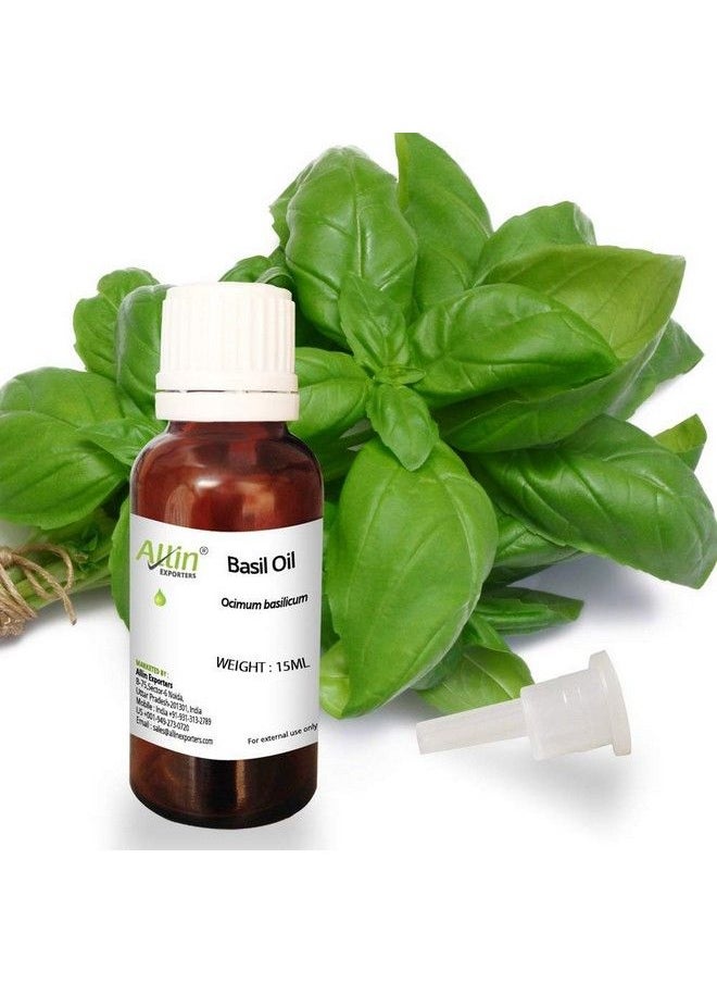 Allin Exporters Basil Oil Pure Natural & Undiluted Therapeutic Grade For Aromatherapy Relaxation 15 Ml  - Image 2