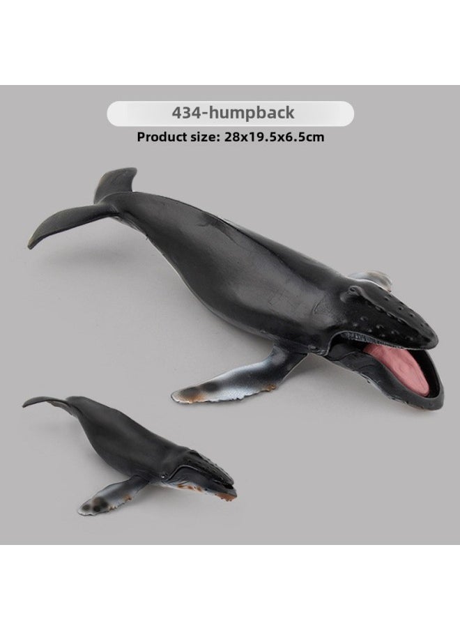 Generic - Simulation Of Whale Sharks, Tiger Sharks, Blue Whales, Marine Life Models, Deep-sea Prehistoric Ancient Duns, Trilobites, Animal Models-Color:Pl127-434 Head Whale 282g - Image 1