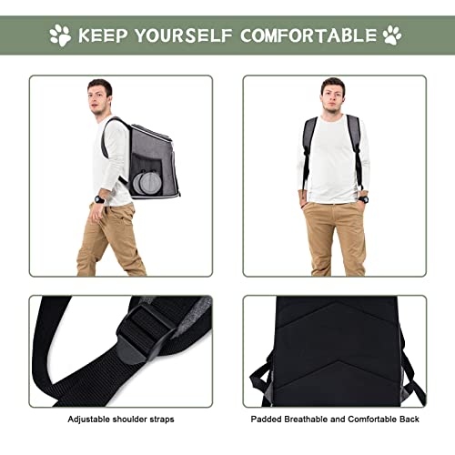 BAGLHER Cat Backpack Carrier, Mesh Pet Cat Carrier for Medium Small Dog Cat Puppy Kitten Bunny up to 18lbs, Dog Travel Backpack for Picnic Hiking Walking Cycling,Grey - Image 5
