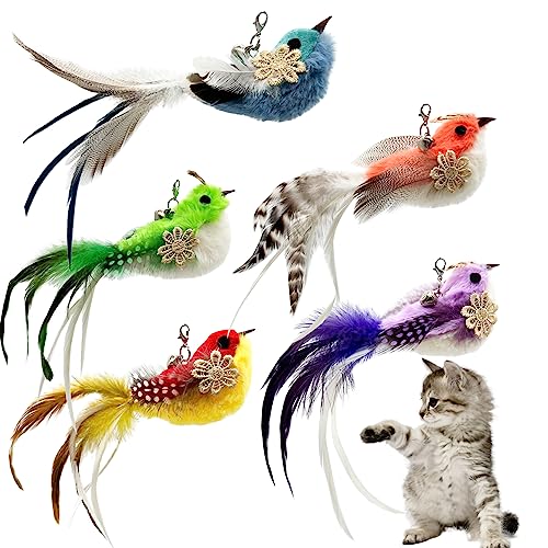 CATENEED Cat Feather Toys Refill 5 Pieces Cat Wand Attachments Feathers Bird Toy for Indoor Cats - Image 1