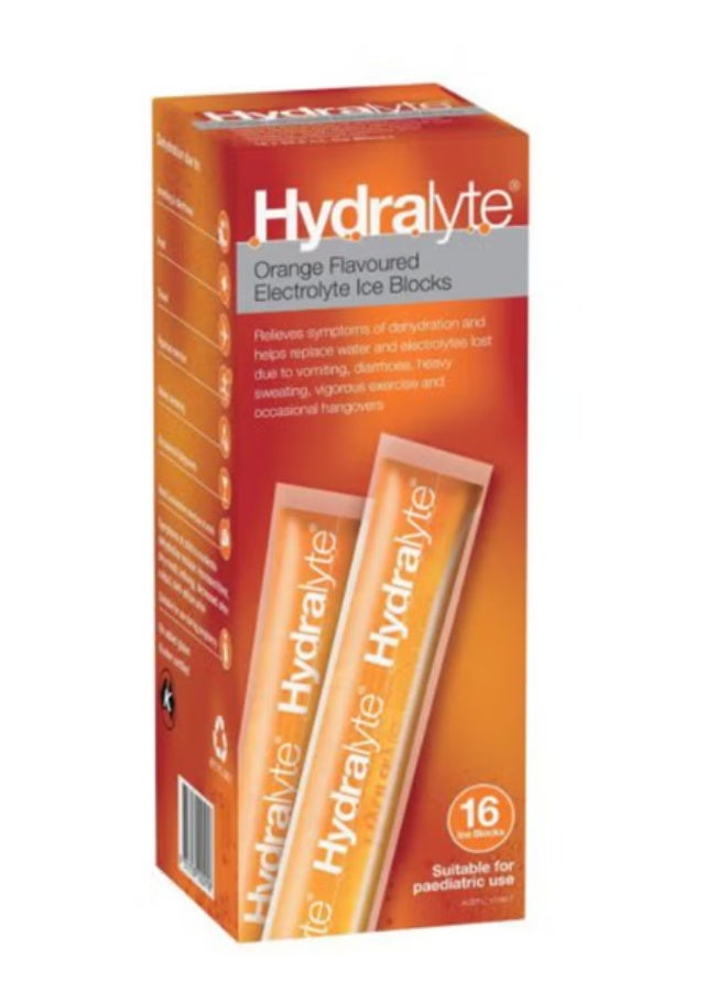 Hydralyte Electrolyte Ice Blocks Orange 16S