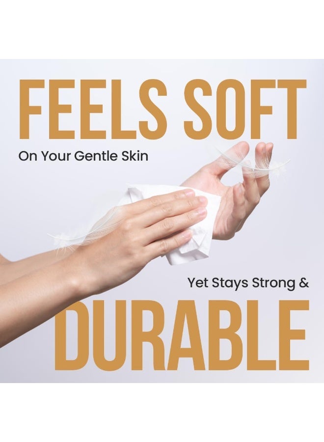 NICE Touch علب مناديل الوجه - 2 طبقة، 30 عبوة × 200 ورقة (6000 ورقة إجمالاً) | مناديل ناعمة ولطيفة لجميع أنواع البشرة | عالية الامتصاص وصحية - Image 3