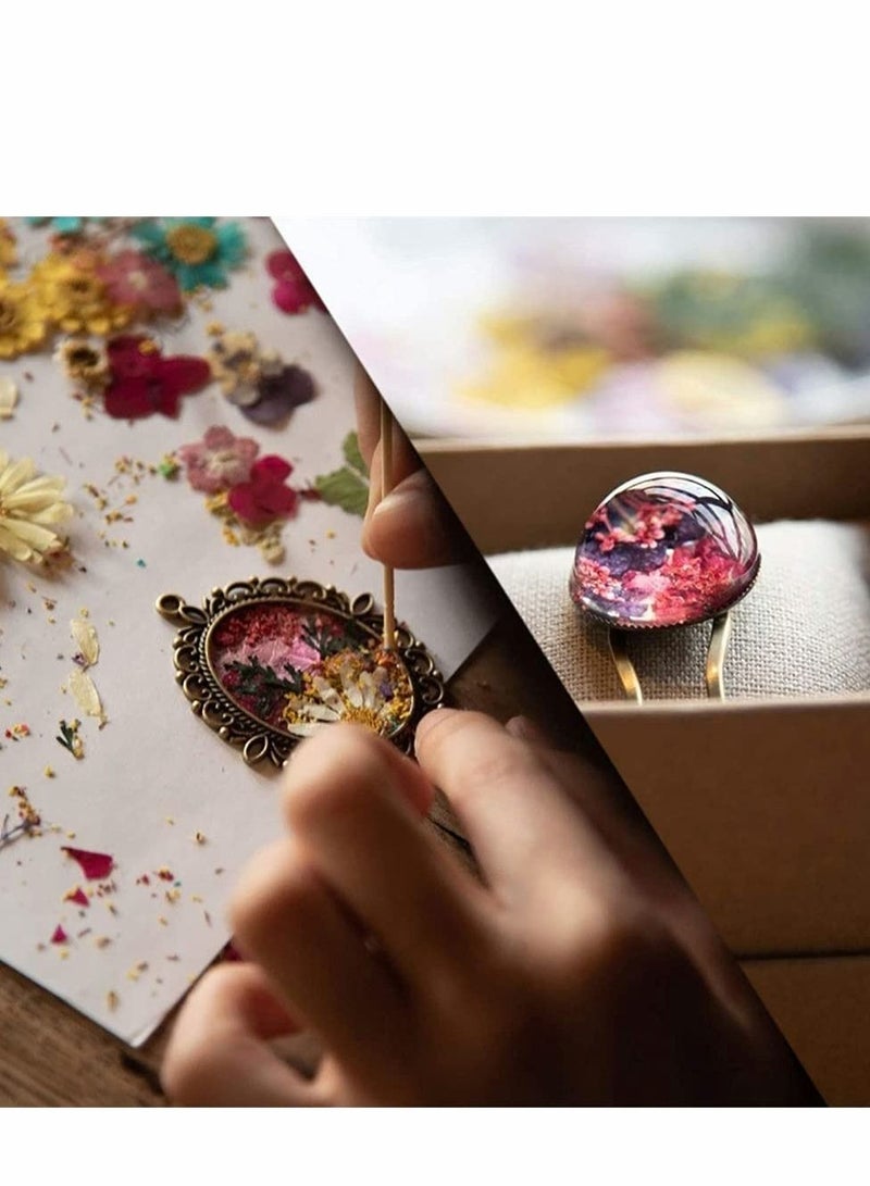 Excefore Natural Dried Flowers, Dried Pressed Flowers Leaves Petals for Crafts, Colorful Pressed Flowers Daisies for Candle Jewelry Nail Pendant Crafts Making, Decorative Dried Flowers (36 PCS) - Image 3