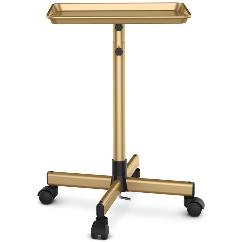 TASALON Premium Salon Tray on Wheels, Aluminum Salon Rolling Tray Trolley for Salon Essentials, Adjustable Height Provides Ample Storage for Hairstylist Tray, Tattoo Tray and Clinic Tray Use - Gloden - Image 1