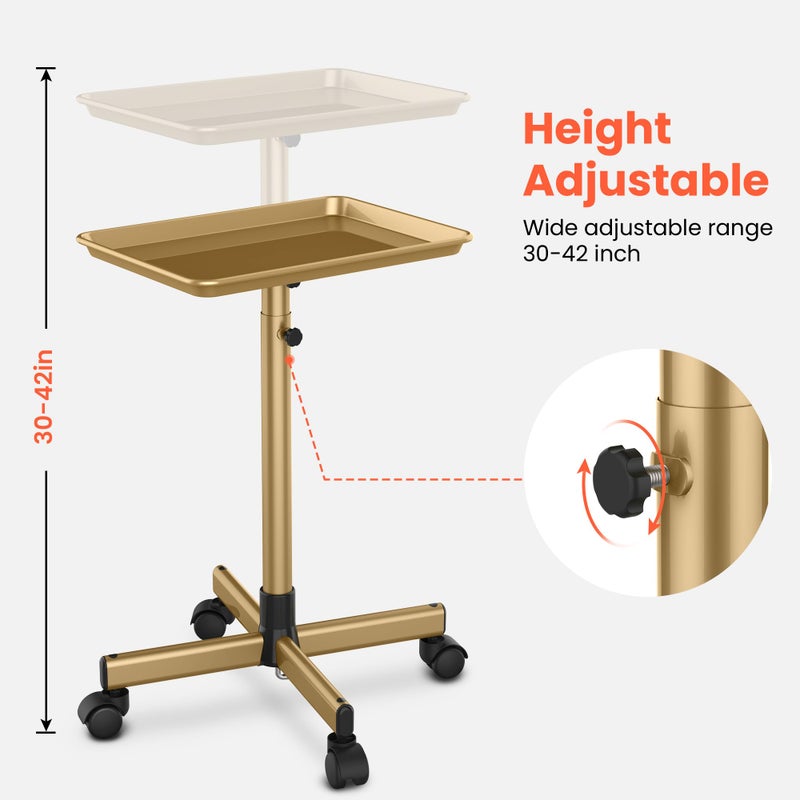 TASALON Premium Salon Tray on Wheels, Aluminum Salon Rolling Tray Trolley for Salon Essentials, Adjustable Height Provides Ample Storage for Hairstylist Tray, Tattoo Tray and Clinic Tray Use - Gloden - Image 2