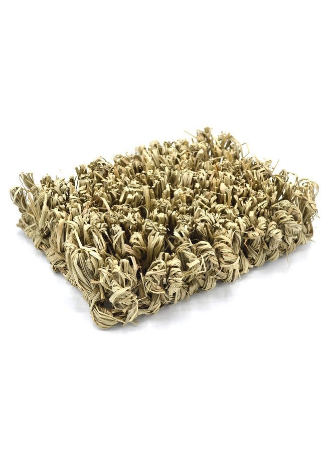 Oxbow Oxbow Animal Health Timothy Club Hide & Seek Mat, Small  - Image 2