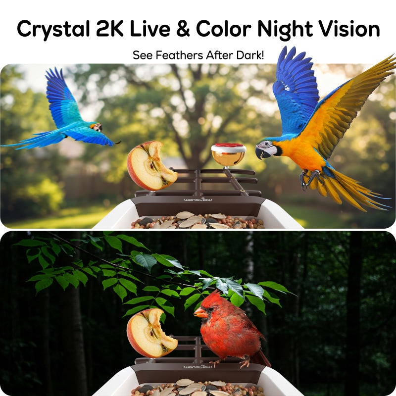 wansview Bird Feeder with Camera-Smart Bird Feeders for Outdoors Solar Powered, Birdhouse with Cam & Instant Alert, 2K Live Video, AI Identify Species, Ideal Gift for Tech Lovers, F1, Brown, 2.4G WiFi - Image 4