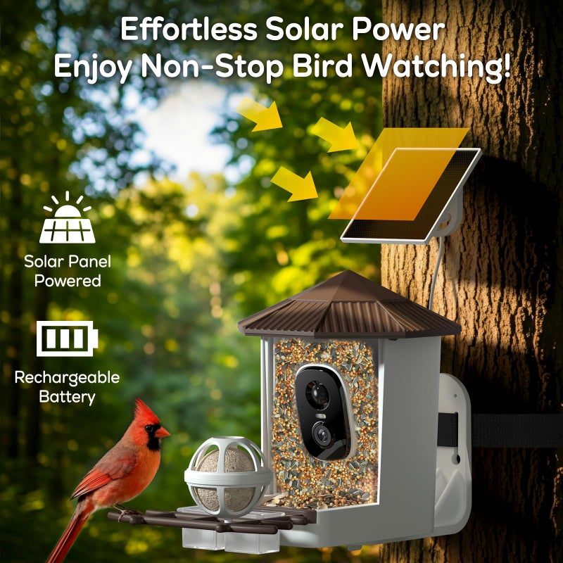 wansview Bird Feeder with Camera-Smart Bird Feeders for Outdoors Solar Powered, Birdhouse with Cam & Instant Alert, 2K Live Video, AI Identify Species, Ideal Gift for Tech Lovers, F1, Brown, 2.4G WiFi - Image 5