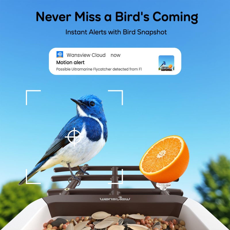 wansview Bird Feeder with Camera-Smart Bird Feeders for Outdoors Solar Powered, Birdhouse with Cam & Instant Alert, 2K Live Video, AI Identify Species, Ideal Gift for Tech Lovers, F1, Brown, 2.4G WiFi - Image 3