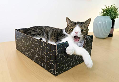 BrightSpot Solutions Purrfect Cat Box Modern Cat Box Lounger with Peek-a-Boo Cutout | Premium Corrugated Cardboard Cat Bed for Sleeping and Relaxation | Interactive Board Box for Indoor Kittens and Small Pets, Blue - Image 2