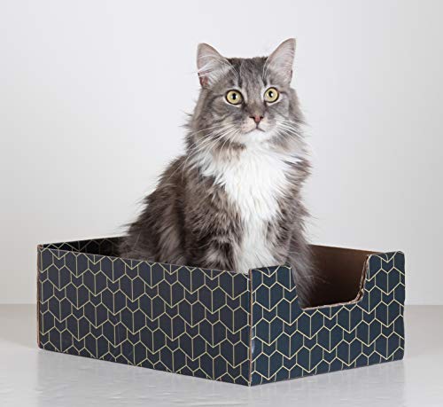BrightSpot Solutions Purrfect Cat Box Modern Cat Box Lounger with Peek-a-Boo Cutout | Premium Corrugated Cardboard Cat Bed for Sleeping and Relaxation | Interactive Board Box for Indoor Kittens and Small Pets, Blue - Image 3