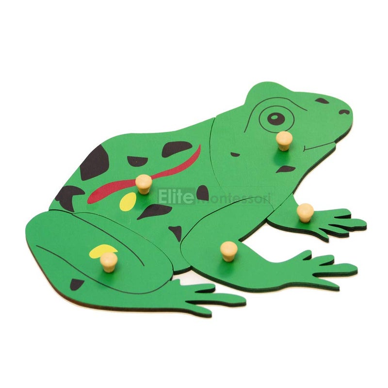 Elite Montessori Frog Puzzle - Image 4