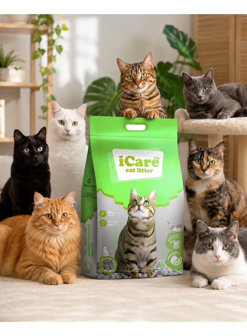 iCare Bentonite Cat Litter - Apple Flavour - 5L - Image 4