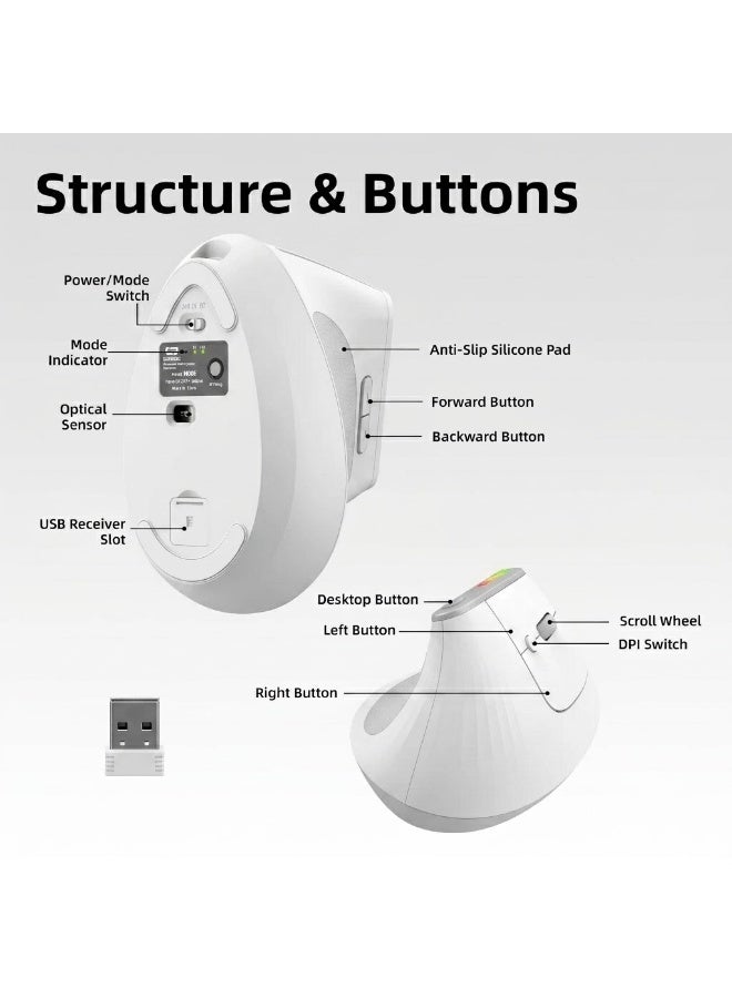 GOOJODOQ Wireless Ergonomic Vertical Mouse, Bluetooth 5.0 & 2.4GHz, Adjustable DPI, Rechargeable - Image 2