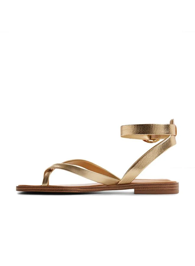 Aldo  Daressi Ladies Gold Flat Sandals for Women | Best Price UAE