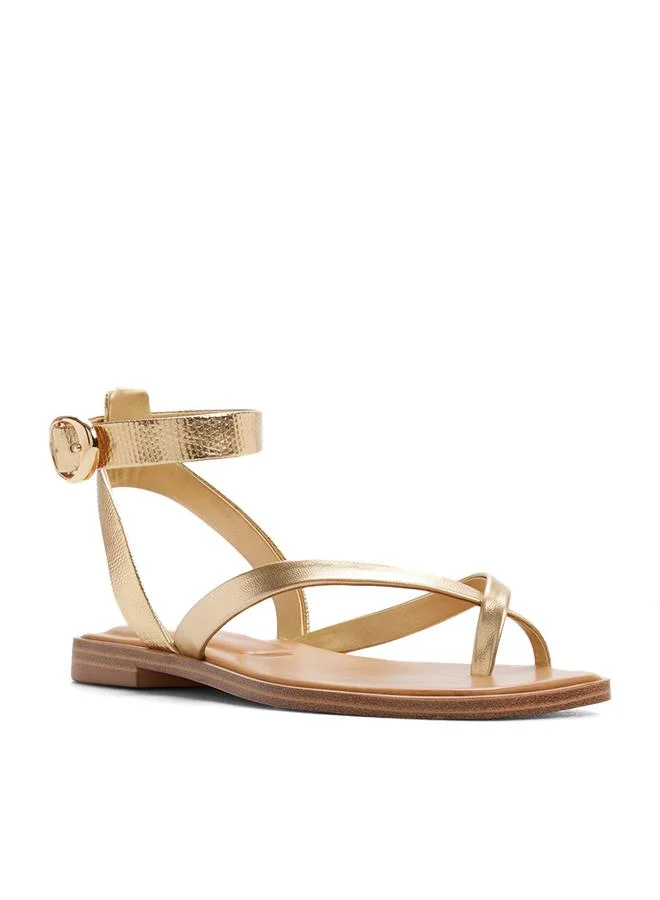 Aldo  Daressi Ladies Gold Flat Sandals for Women | Best Price UAE
