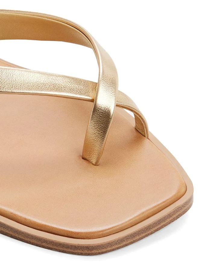 Aldo  Daressi Ladies Gold Flat Sandals for Women | Best Price UAE